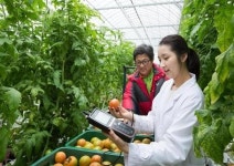 [전북형 제4차 산업혁명 초융합 바이오 농업시대를 연다] ② 확산되는 스마트팜과 미래농업 - 미래 식량난·농촌 고령화 해법 등장 농산물 제값... 