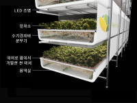[전북형 제4차 산업혁명 초융합 바이오 농업시대를 연다]③ 미국 뉴저지에어로 팜 - 태양 역할 LED 조명에 흙 대신 천 깔린친환경 식물 공장