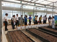 완주군 농업기술센터, 우량종묘 생산해 농가에 공급