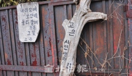 성추문 논란 고은 시인 고향 군산 가보니 - 주민 텃밭 작업…생가 복원 어려워질 듯
