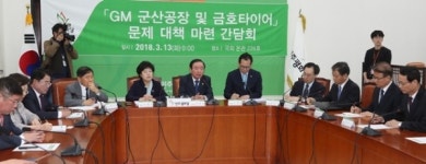 군산 대체·보완사업 육성