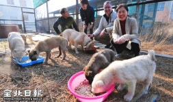 [전주 송천동 개 농장 그 후] 자유 만난 생명…펄펄 뛰놀다 밥 시간 맞춰 나타나