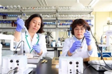 [전북농생명산업 이끄는 과학자]① 국립농업과학원 박신영 박사·전북농업기술원 송영은 연구사 - 무주 특산물 천마 맛·효능 개선, 농가소득... 