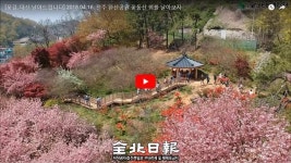 [창간 68주년 특집 : 디지털콘텐츠팀의 변화와 목표] 익숙하게, 그러나 새롭게…전북일보만의 내일 찾기
