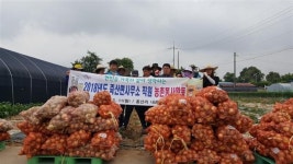 김제시 죽산면, 관내 양파농가 방문·일손돕기 실시