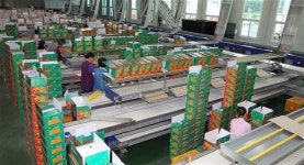 장수군, 과수 거점산지유통센터 국비 10억 확보