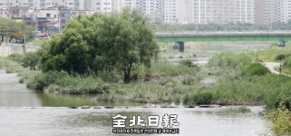전주 삼천에 하중도…보존할까 준설할까