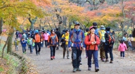 순창군, 추석 연휴기간 강천산 군립공원 무료 개방