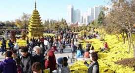 익산 천만송이 국화축제, 올해의 정원 축제상 수상