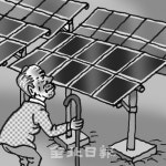 그늘 드리운 태양광