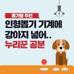 [카드뉴스] 뽑기방 주인, 인형뽑기 기계에 강아지 넣어…누리꾼 공분