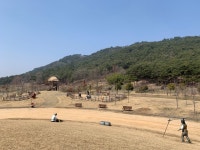 [전북의 재발견] 한반도 첫수도 고창의 유적 : 고인돌 박물관·봉덕리 고분군