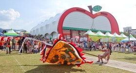 장수 깃절놀이, 지방문화원 원천콘텐츠 발굴지원 사업 선정