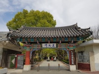 [뚜벅뚜벅 전북여행] 전주 덕진공원 : 싱그러운 봄날의 풍경