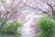 [한바탕 전주 즐기기] 전주 완산꽃동산 사진 스폿 Best 3