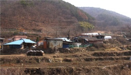 다큐 공감  산유화(山有花) 산에는 꽃 피네, 꽃이 피네