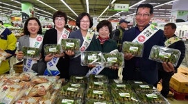 순창 참두릅, 지역 대표 농산물로 인기