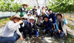 남원시 주생면, 농촌 일손돕기 봉사 활동