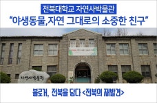 [전북의 재발견] 전북대학교 자연사박물관 - 위기에 빠진 야생동물 이야기