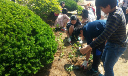 한국청소년야생동식물보호단, 야생화 화단 조성