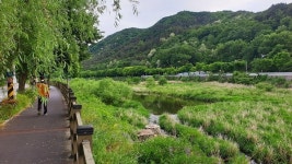 [문화&공감 2019 시민기자가 뛴다] 전북의 이순신 장군 백의종군로를 걷다 ③ 완주 삼례역~완주 상관면 신리