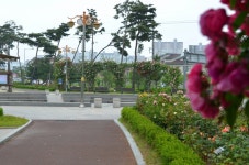 [전북의 재발견] 익산 여름밤 마실 산책 : 익산 배산체육공원, 원광대학교