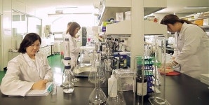 (재)임실치즈&식품연구소, 옻 산업 선도적 역할 앞장