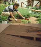 동물농장  카페 마루 안에서 비밀육아하는 어미 너구리?