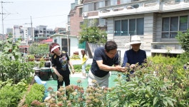 [김영철의 동네 한 바퀴] 서울 상도동, 흑석동 편 : 오르고 싶다 언덕마을