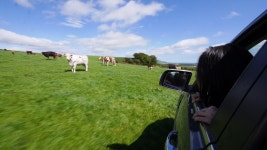 [세계테마기행] 초록빛 매혹 스코틀랜드 아일랜드 - 1부. 스코틀랜드의 빛, 하일랜드