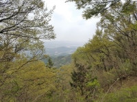 [전북의 재발견] 군산 오성산 오성산 둘레길 따라 걸어본 날