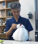 [문화&공감 2019 시민기자가 뛴다] 인류무형문화유산으로서 전통예술, 그 전승에 대하여