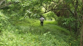 [문화&공감 2019 시민기자가 뛴다] 전북의 이순신 장군 백의종군로를 걷다 ⑤ 임실군 임실읍~남원시 뒷밤재