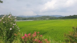[문화&공감 2019 시민기자가 뛴다] 전북의 이순신 장군 백의종군로를 걷다 ⑤ 임실군 임실읍~남원시 뒷밤재