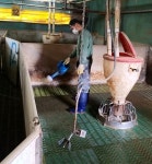 진안초원흑돼지농장, 청정축산환경대상 전북 예선서 최우수상