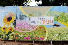 [뚜벅뚜벅 전북여행] 고창 학원농장, 여름 가을 꽃 잔치 여행 - 계절 꽃 인증샷 찍기 좋은 곳