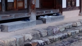 [안성덕 시인의 감성 터치] 가지런한 신발