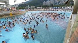 테마24시전화방 | [극한직업] 테마파크와 워터파크 '놀이공원 24시'
