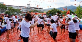 제13회 장수 한우랑 사과랑 축제 6일 개막
