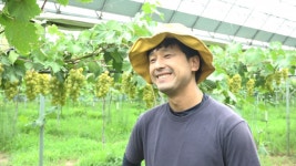 [인간극장] 포도밭 울 엄니 : 포도 농사에 있어선 베테랑 농부인 삼 형제의 어머니