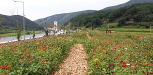 광주대구고속도로 대강졸음쉼터 공원산책로, 이용객들로부터 큰 호응