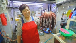[한국기행] 시골 부자 3부. 꽃문어, 네 덕에 산다