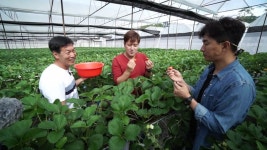 [동남아 살아보기] 변우민·고세원, 영원한 봄의 도시 달랏에서 살아보기 시작