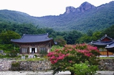 [윤주 한국지역문화생태연구소장의 사연 있는 지역이야기] 64. 표암 강세황이 인증한 부안