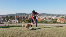 [동물농장] 독풀러 대회 2연속 우승 도전 자몽이와 용민 씨