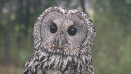 [다큐프라임] 송광 1부. 시절인연