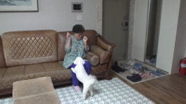 [세나개] 개 손주 뭉치의 버르장머리를 찾아서