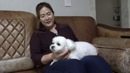 [세나개] 개 손주 뭉치의 버르장머리를 찾아서