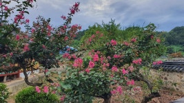 [뚜벅뚜벅 전북여행] 전주 지행당 조선시대 학자의 효행을 기리던 곳