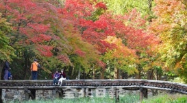 가을 물든 강천산